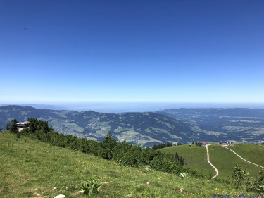 KAC Gaissau Kräuterwanderung 2019 06 29 12 13 22  4688